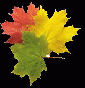 Людмила Кившенко-Последний лист