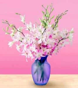 Виктор Котов-Пятидесятилетие Виктор Котов-Пятидесятилетие