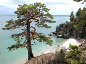 Вячеслав Белявский-Сосны